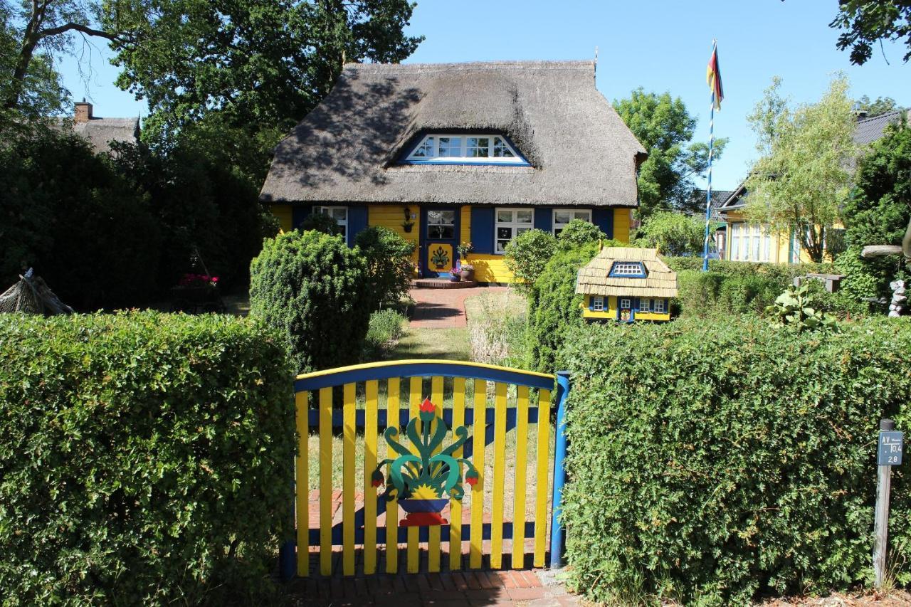 Strandstr_51 Wohnung 9 Zingst Ngoại thất bức ảnh