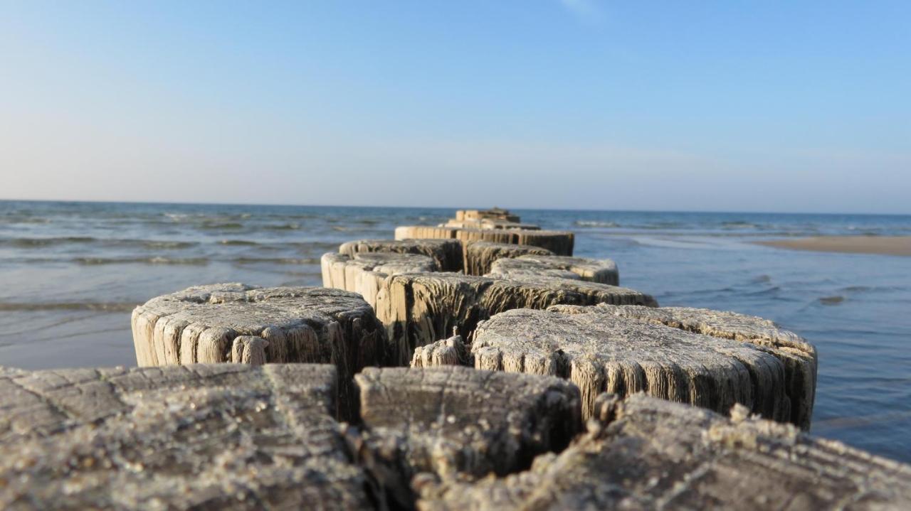 Strandstr_51 Wohnung 9 Zingst Ngoại thất bức ảnh